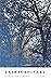 Extraordinary: How brokenness can make you extraordinary
