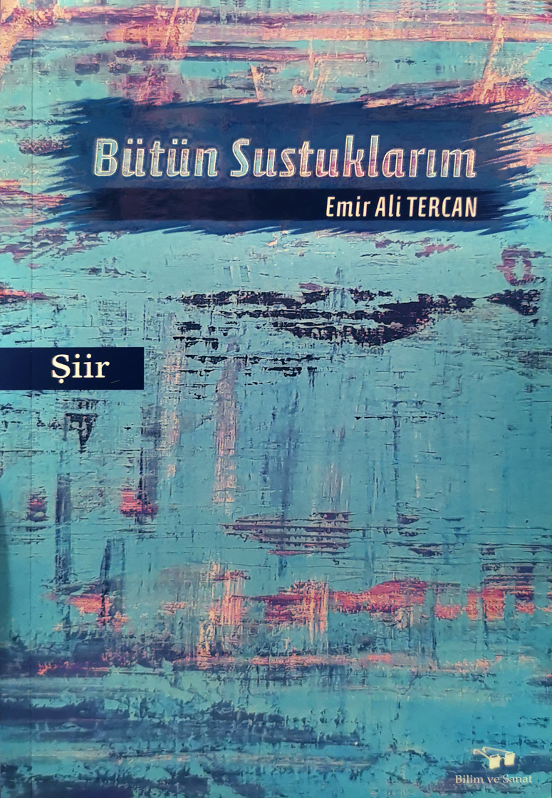 Bütün Sustuklarım (Paperback)