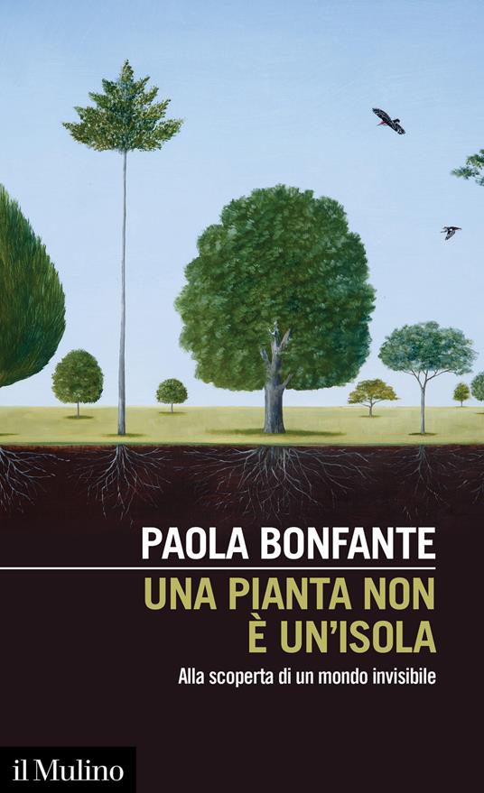 Una pianta non è un'isola (Paperback)