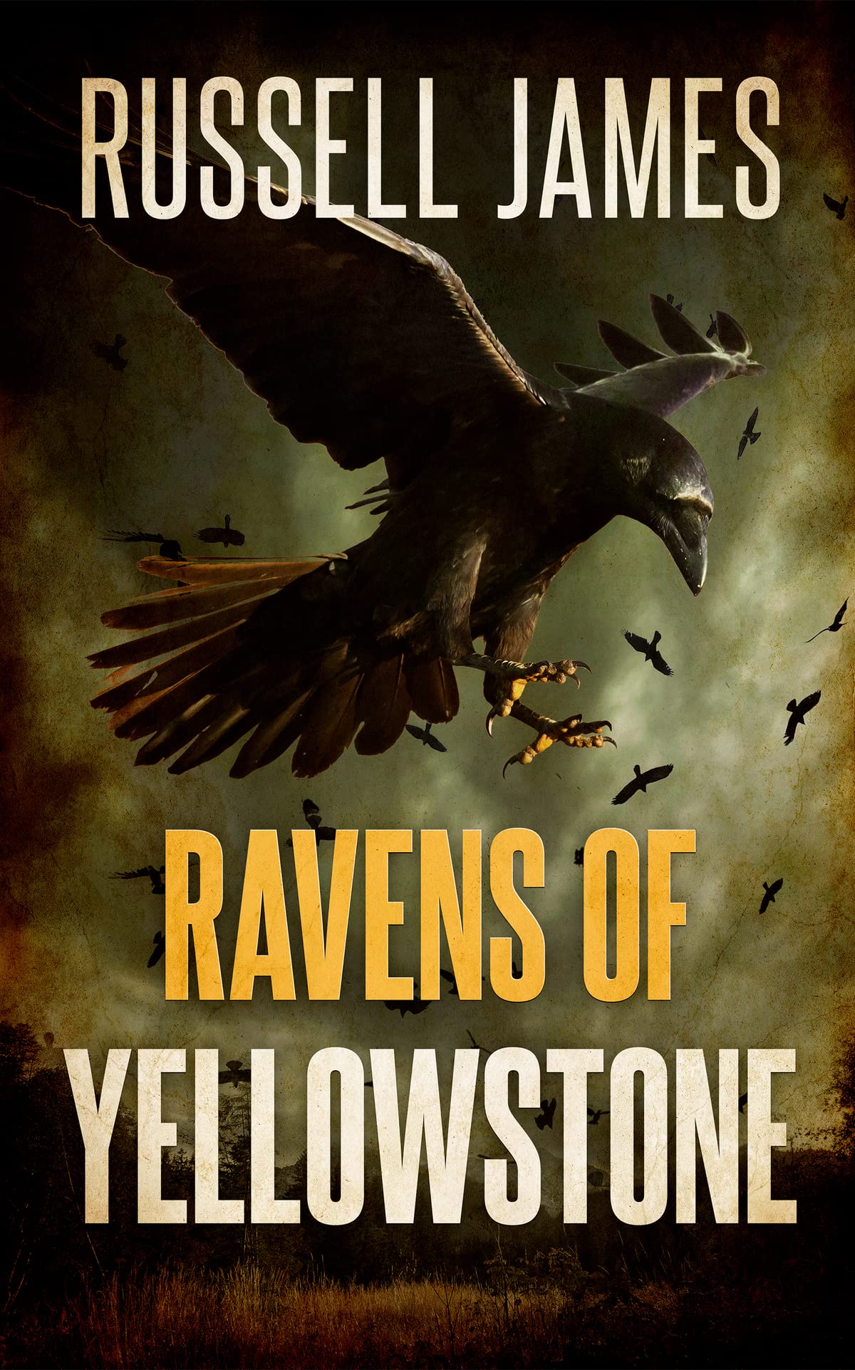 Ravens of Yellowstone (Kathy West National Park Adventure #3)