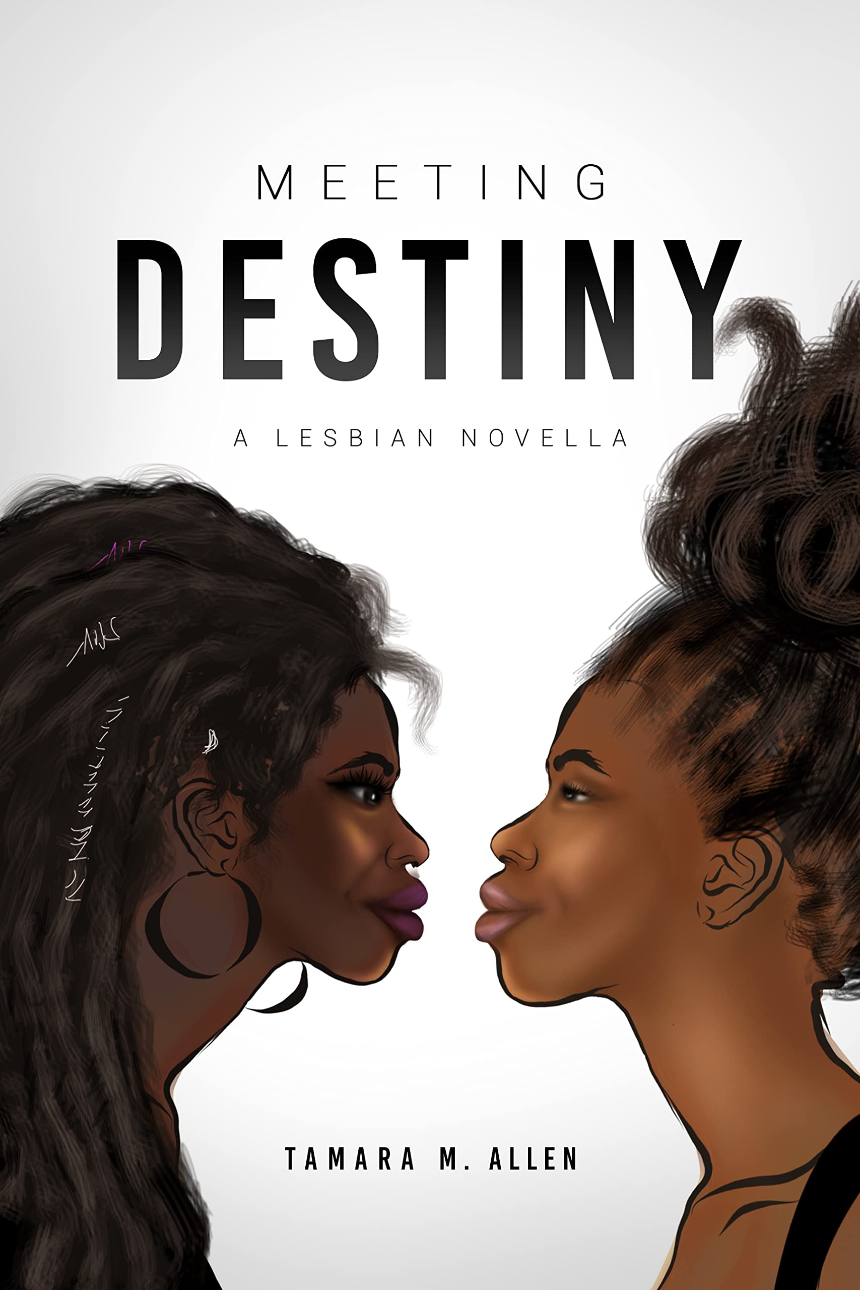 Meeting Destiny: A Lesbian Novella (The Destiny Trilogy by Tamara M. Allen Book 1)