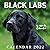 Black Labs Calendar 2022: b...
