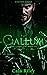 Callum (The Syndicates, #6)