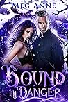 Bound by Danger by Meg Anne
