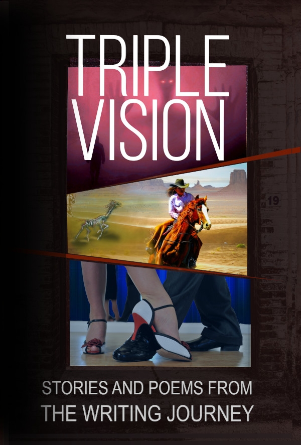 Triple Vision: A Collection of Stories and Poems from The Writing Journey (Anthologies of the Writing Journey)