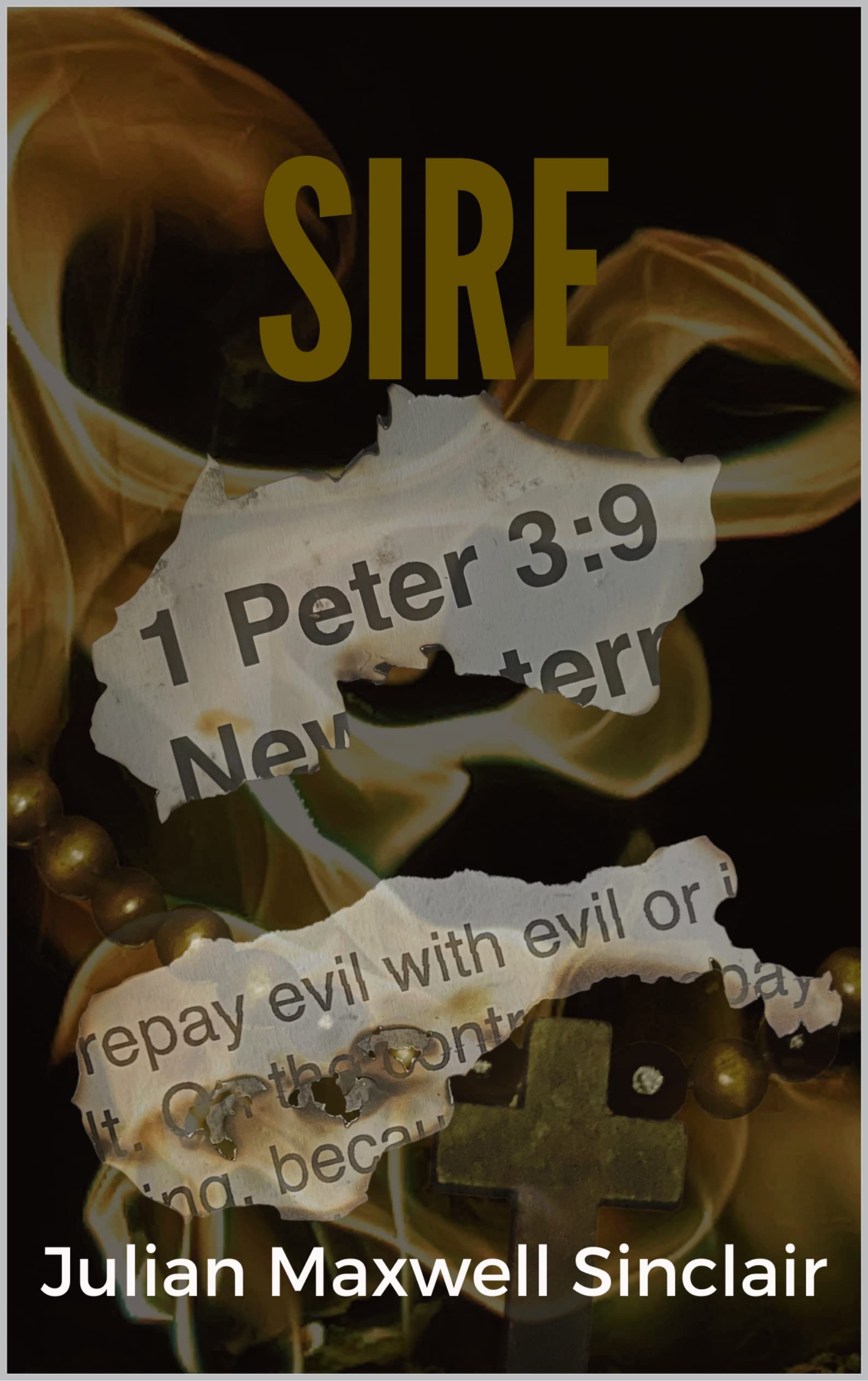 Sire (Parker City Demon Book 1)