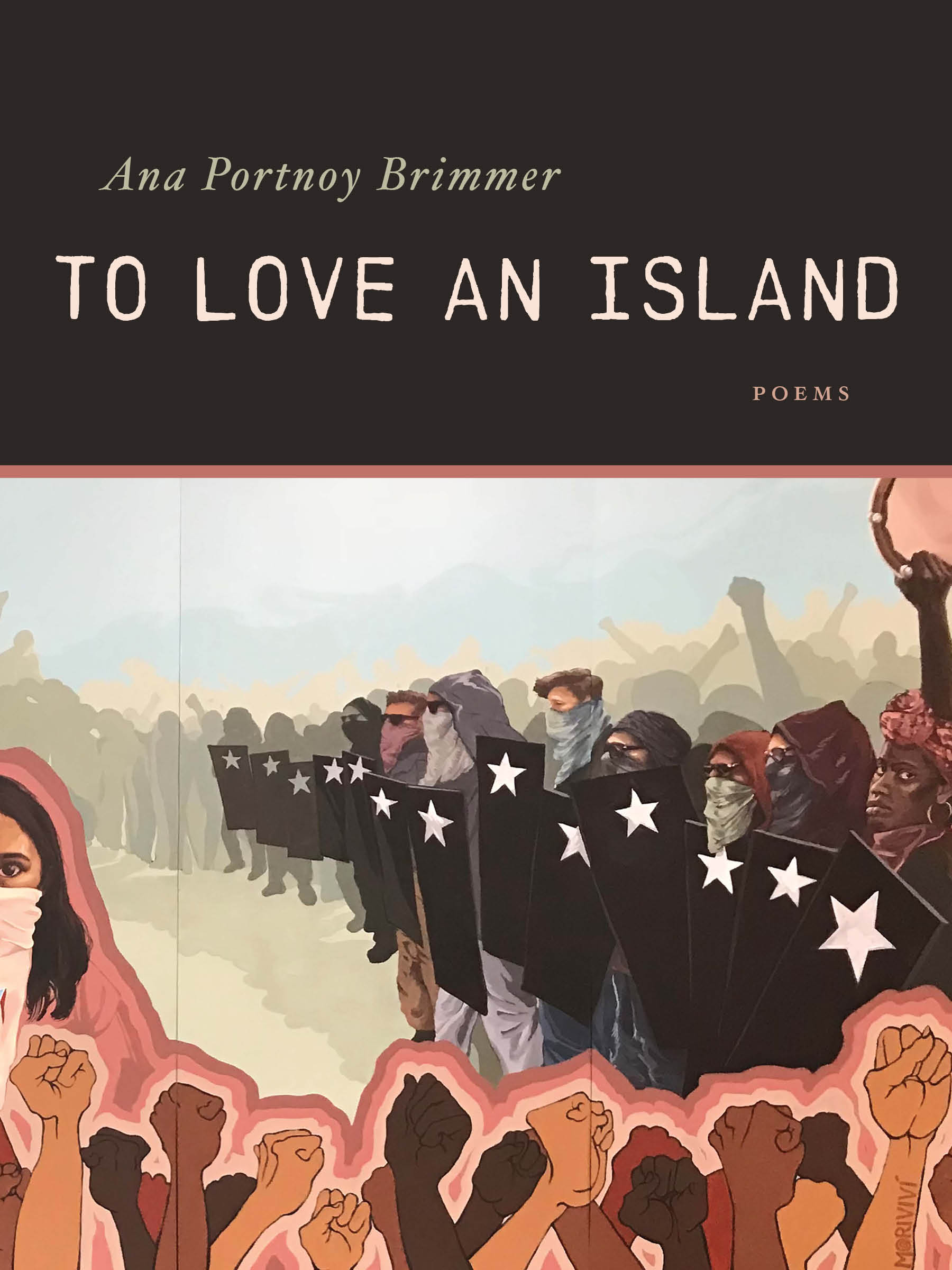 To Love an Island (Paperback)