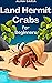 Land Hermit Crabs for Beginners by Alina Daria