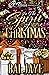 In The Spirit Of Christmas by Bai Jaye