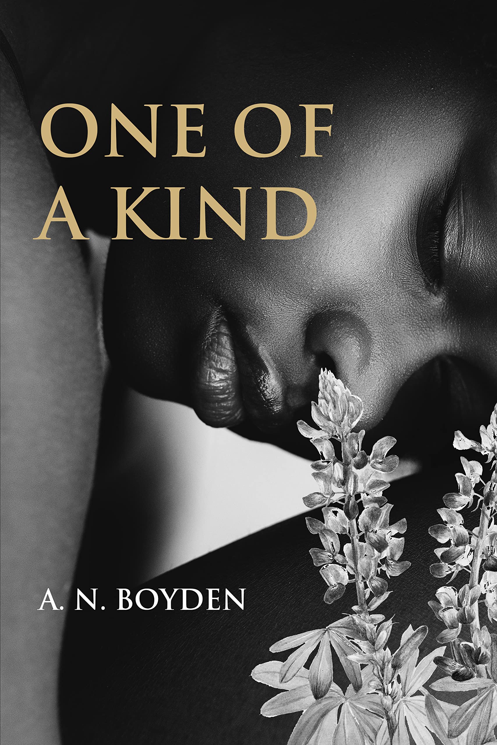 One of a Kind (Kindle Edition)
