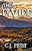 The Divide (Joe Beck #3)