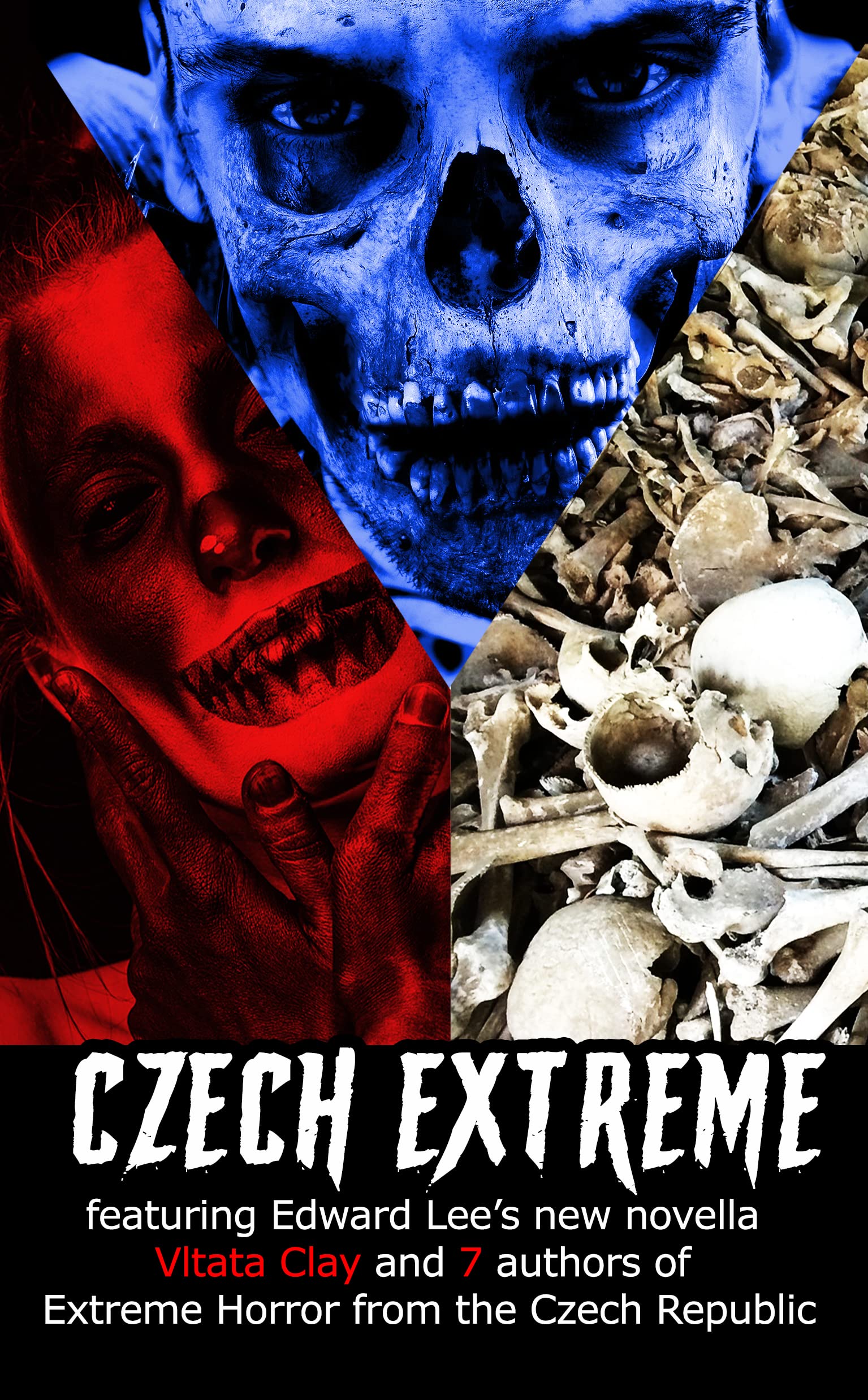Czech Extreme (Kindle Edition)