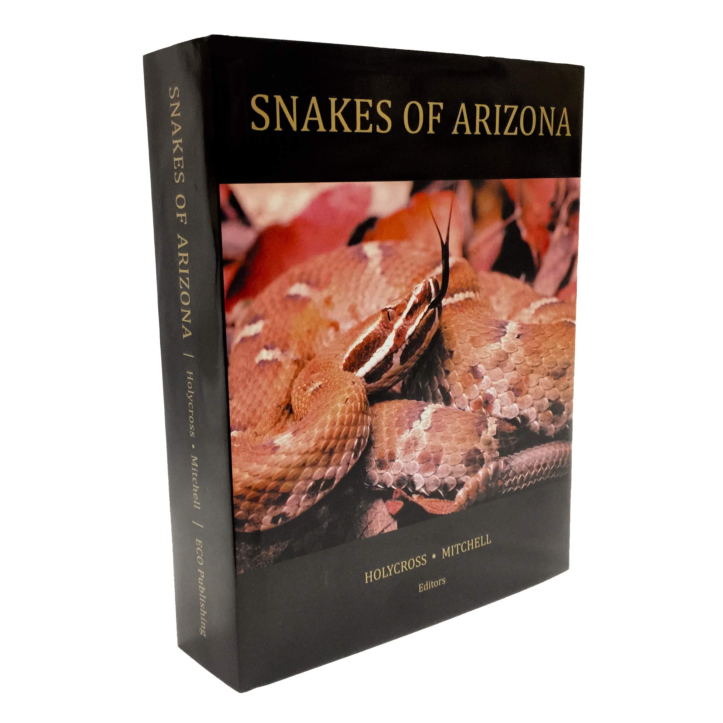 Snakes of Arizona (Hardcover)