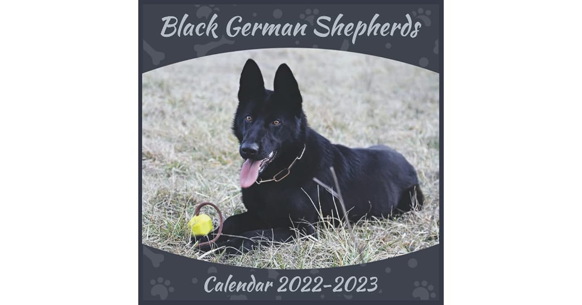 Black German Shepherds Calendar 2022 2023 Official Planner Black 