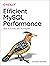Efficient MySQL Performance...