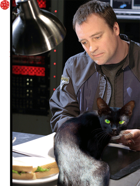 Checkmate 'Verse (ebook)