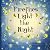 Fireflies Light the Night