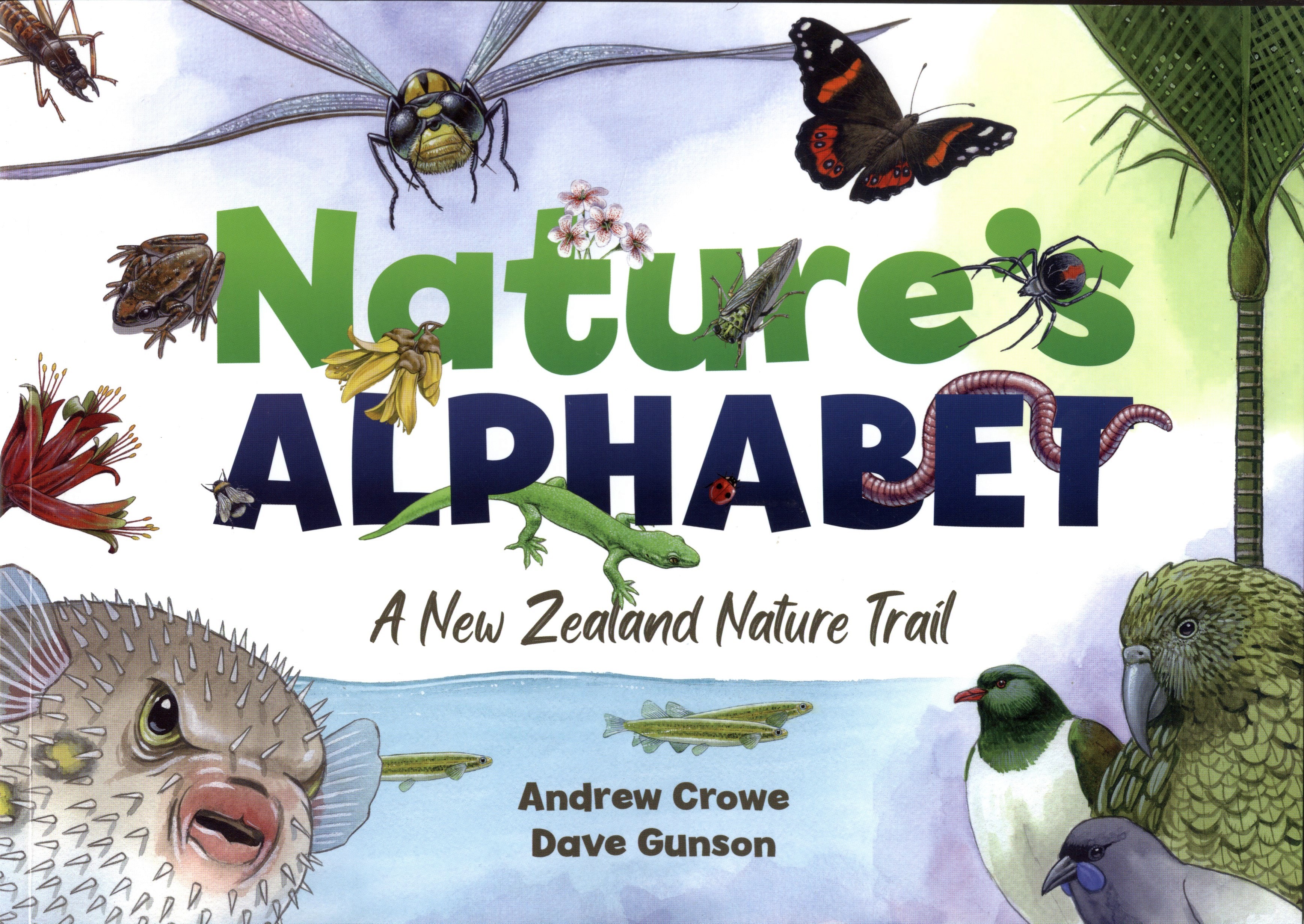 Nature's Alphabet: A New Zealand Nature Trail (Paperback)