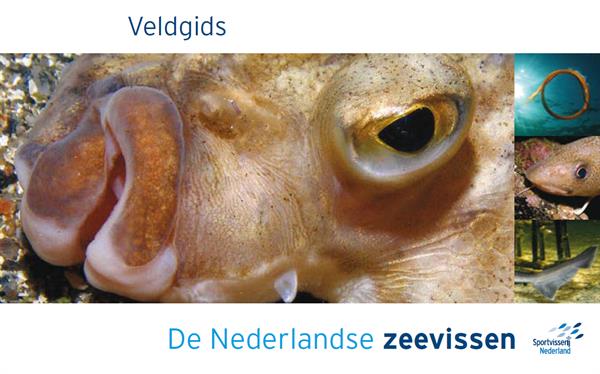 Veldgids de Nederlandse zeevissen (Paperback)
