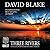 Three Rivers by David  Blake