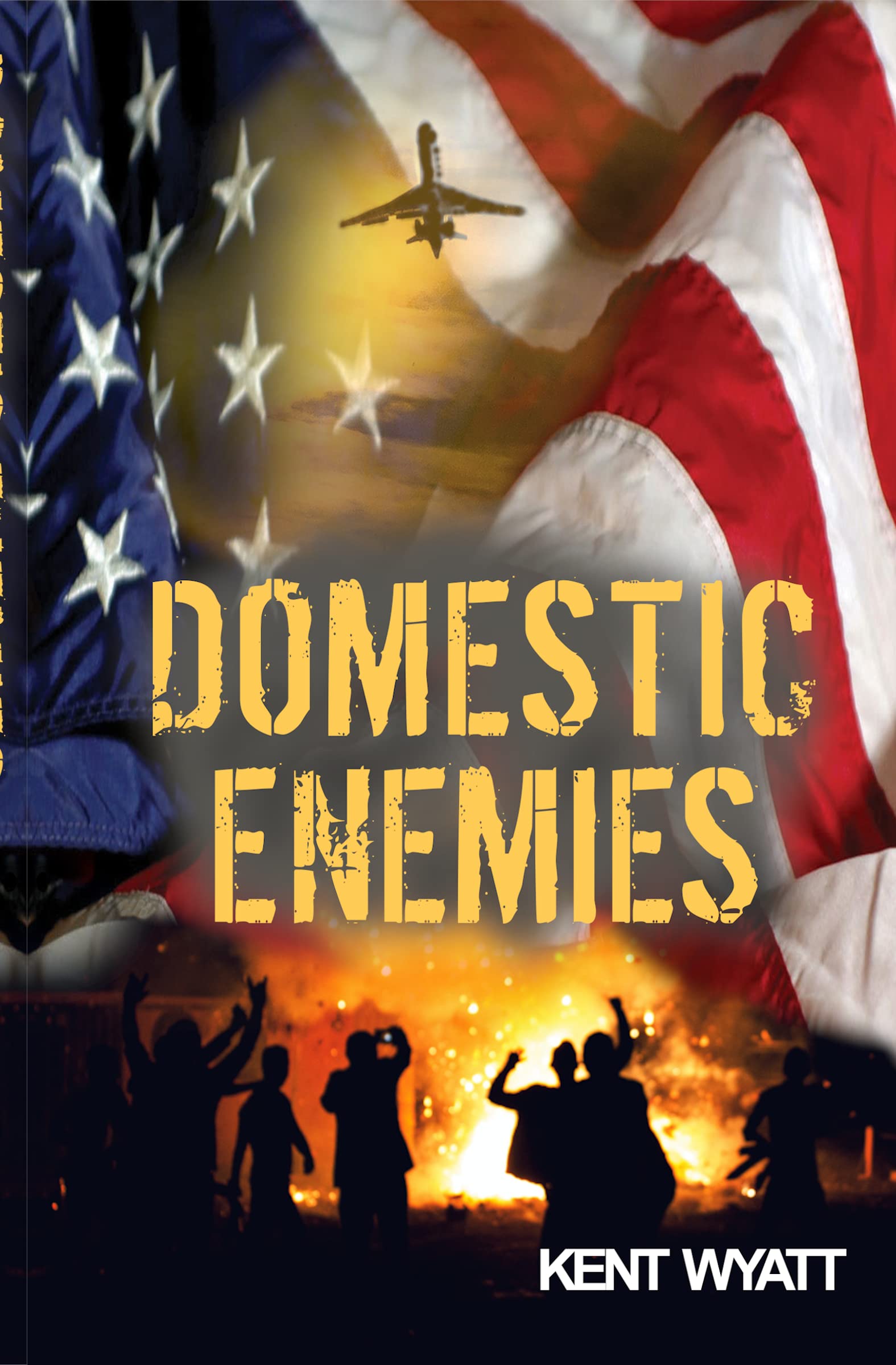 Domestic Enemies (Kindle Edition)