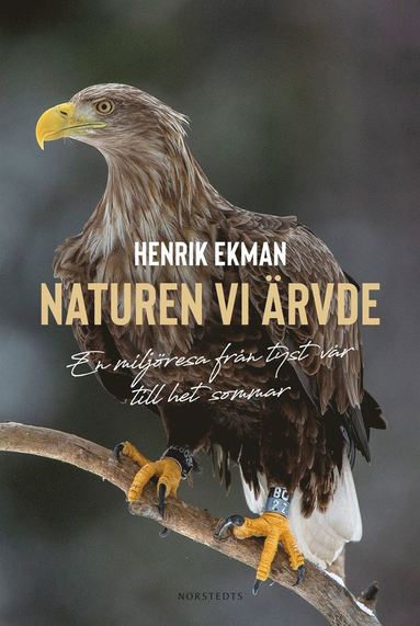 Naturen vi ärvde : en miljöresa från tyst vår till het sommar (Hardcover)