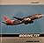 Boeing 737 Airline Markings 7