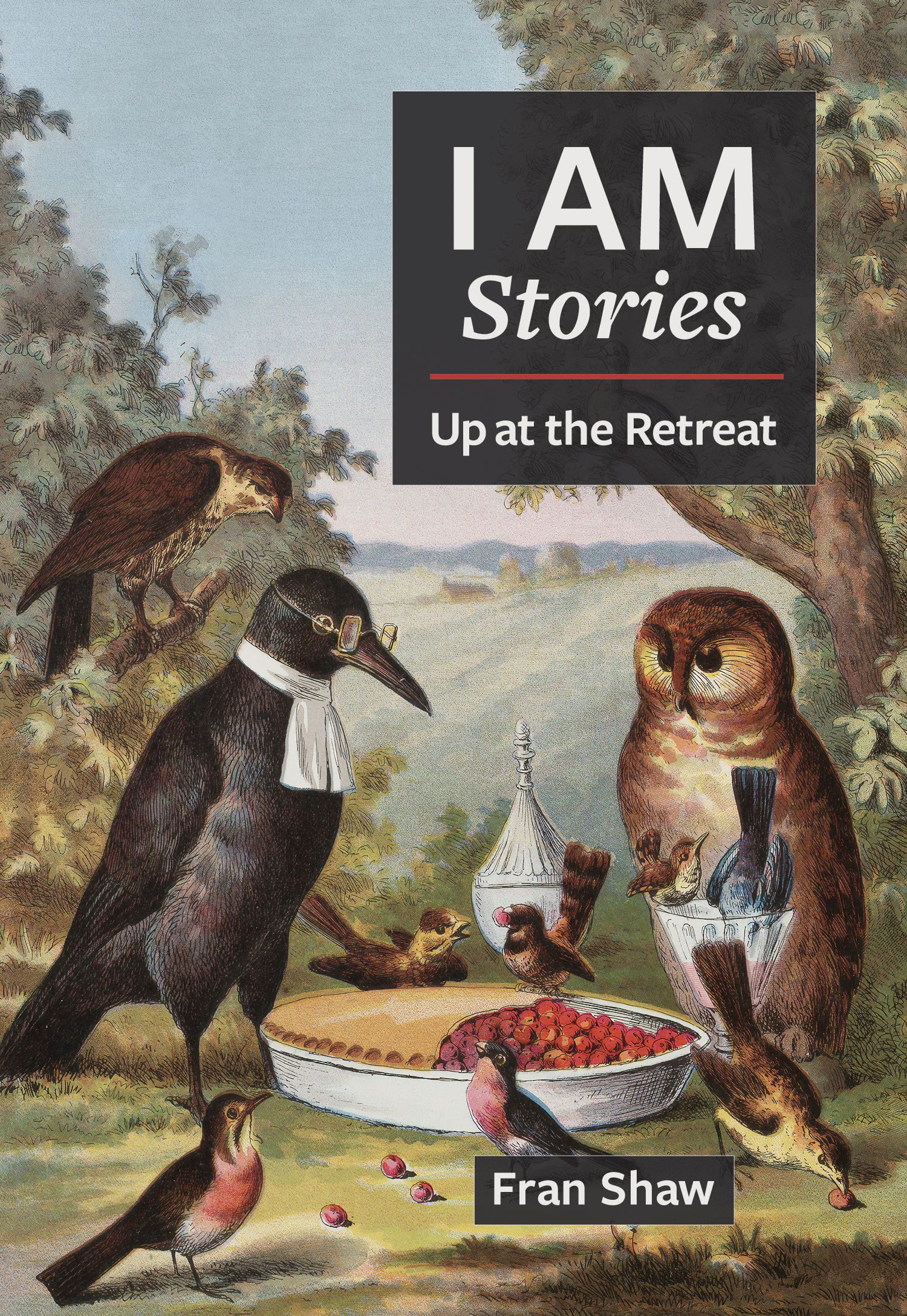 I AM Stories: Up at the Retreat (Paperback)