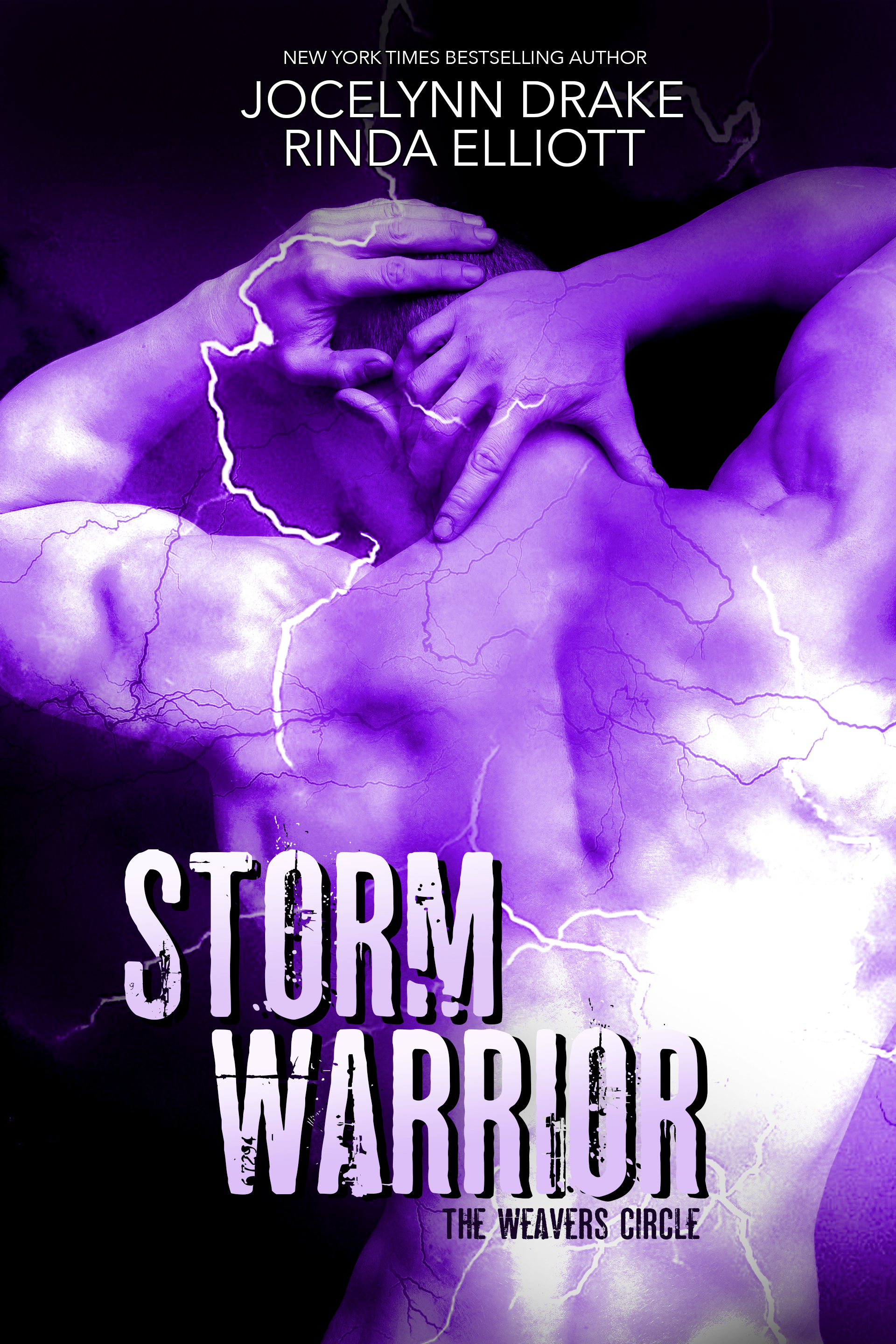 Storm Warrior (The Weavers Circle #5)