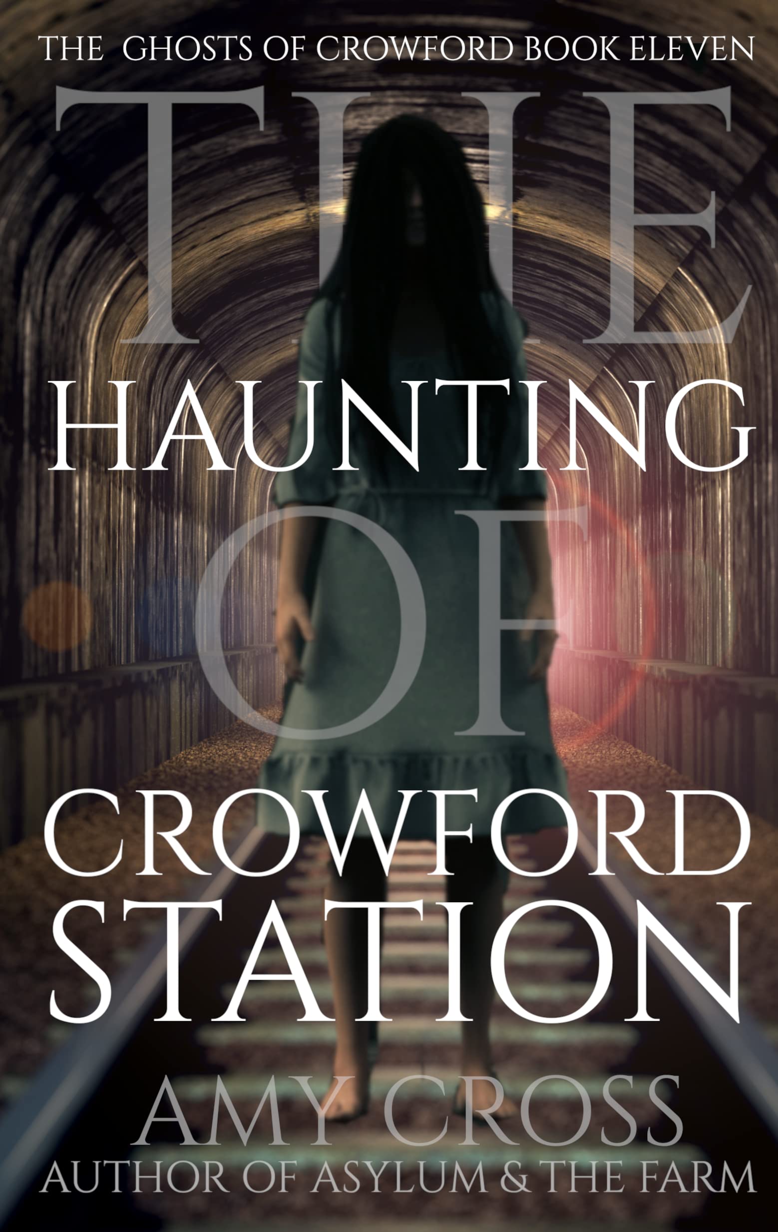The Haunting of Crowford Station (The Ghosts of Crowford #11)