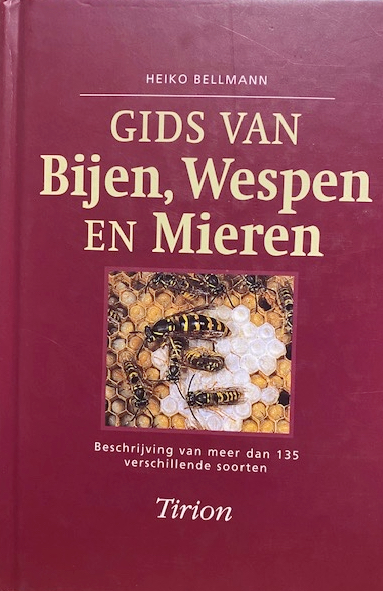 Gids van Bijen, Wespen en Mieren (Hardcover)