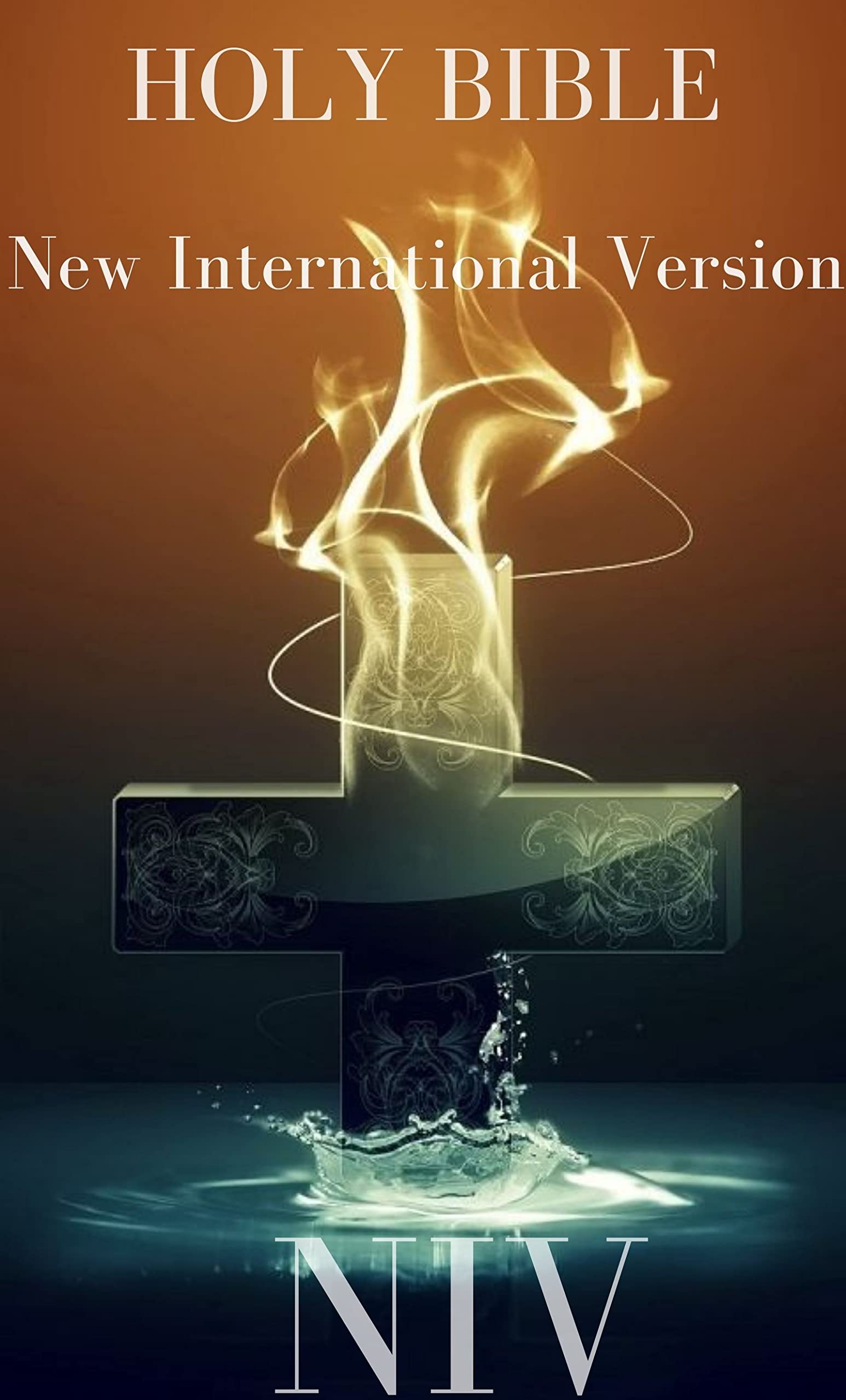 Holy Bible: NIV, New International Version