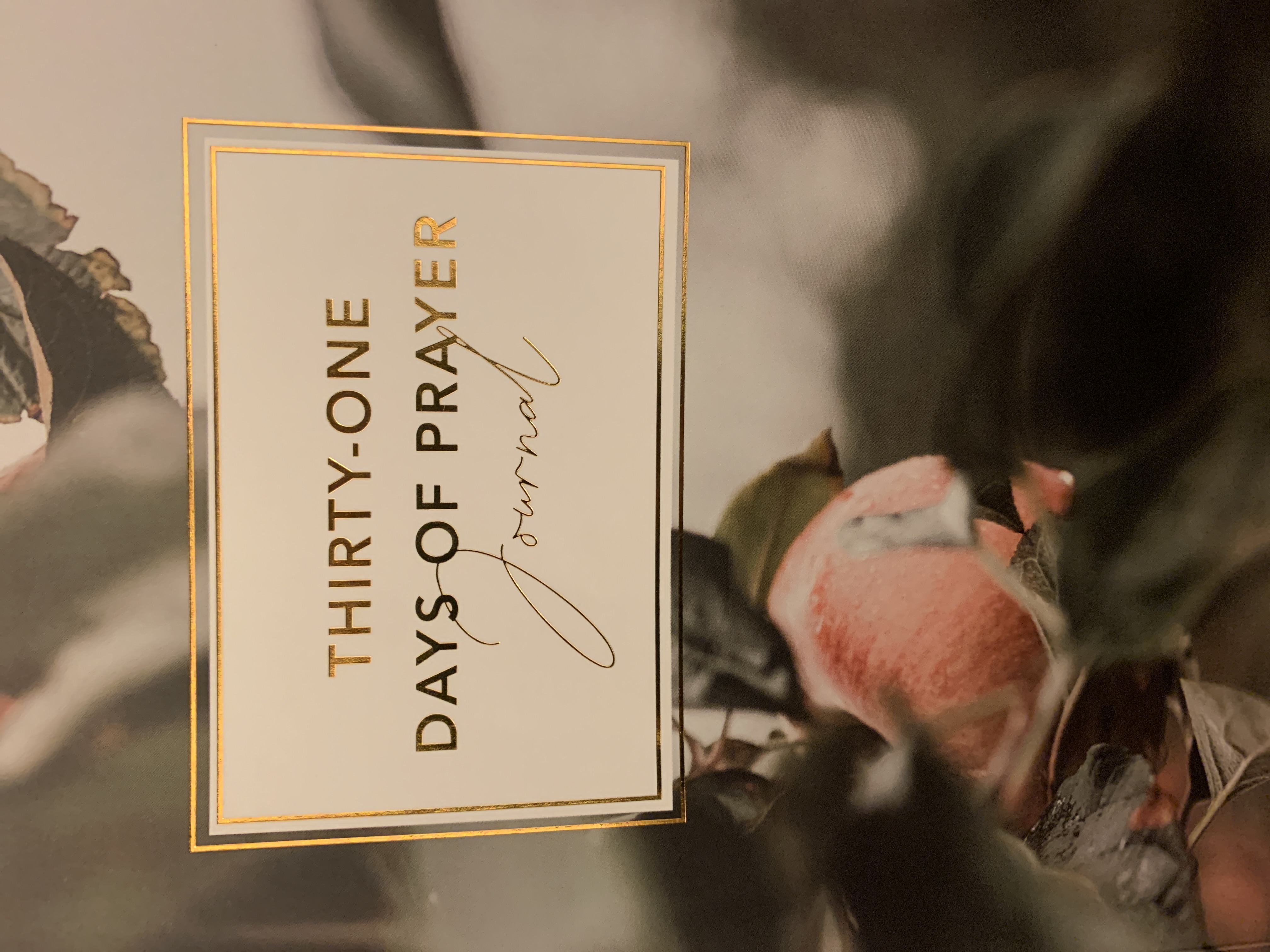 Thirty-One Days of Prayer Journal