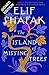 The Island of Missing Trees