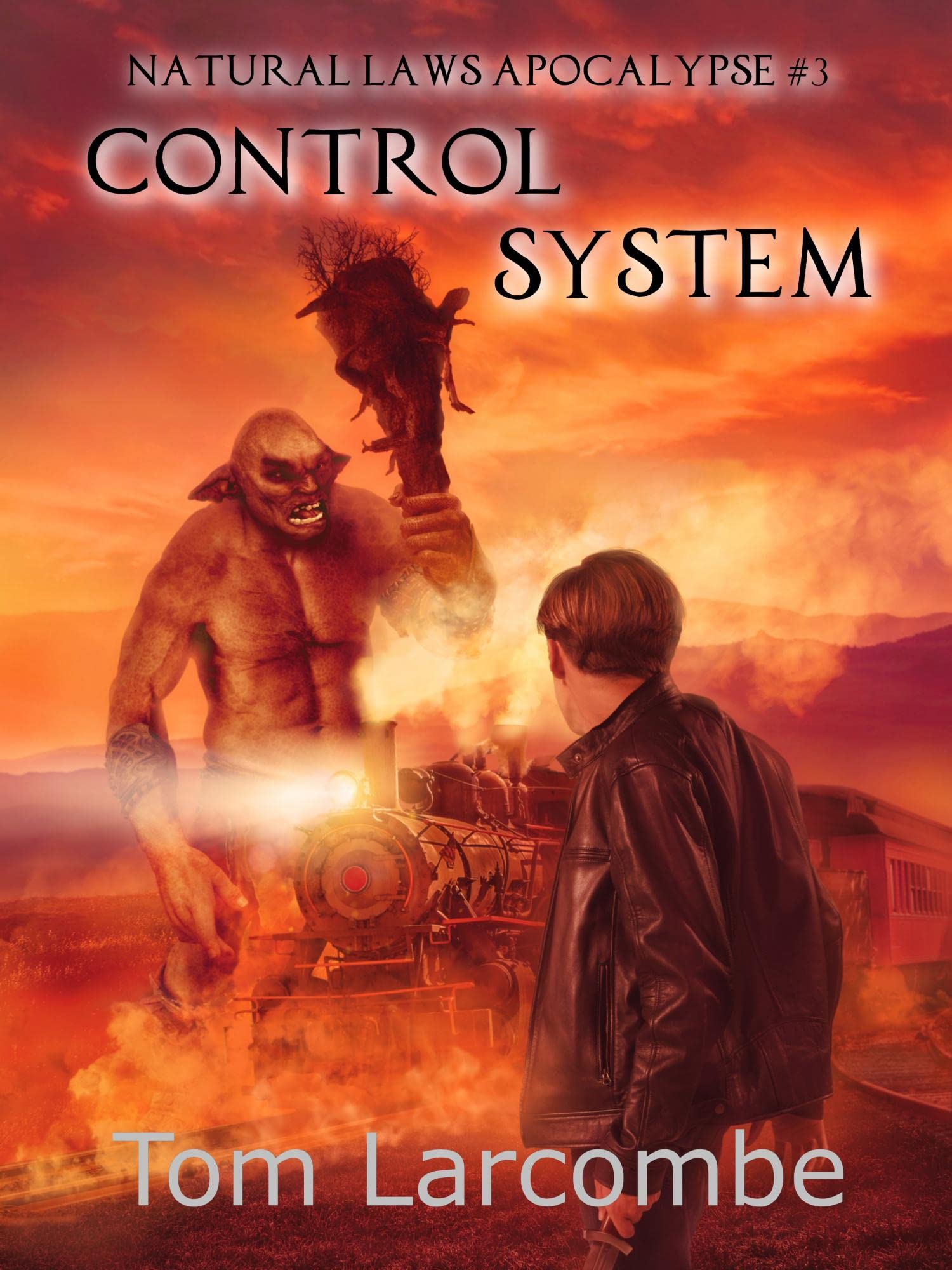 Control System (Natural Laws Apocalypse #3)