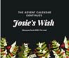 Josie's Wish by Ruby Dixon