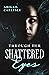 Through Her Shattered Eyes