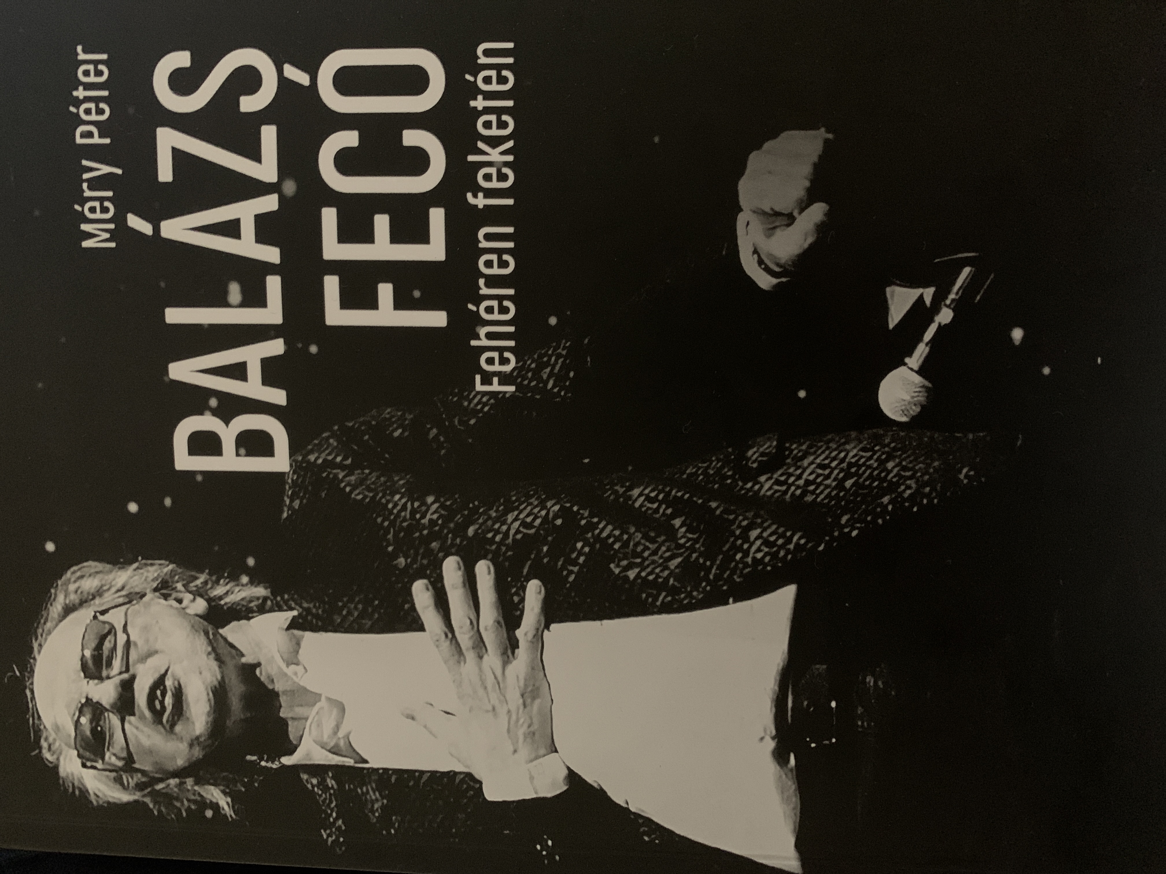 Balázs Fecó Fehéren feketén