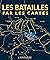 Les grandes batailles par les cartes