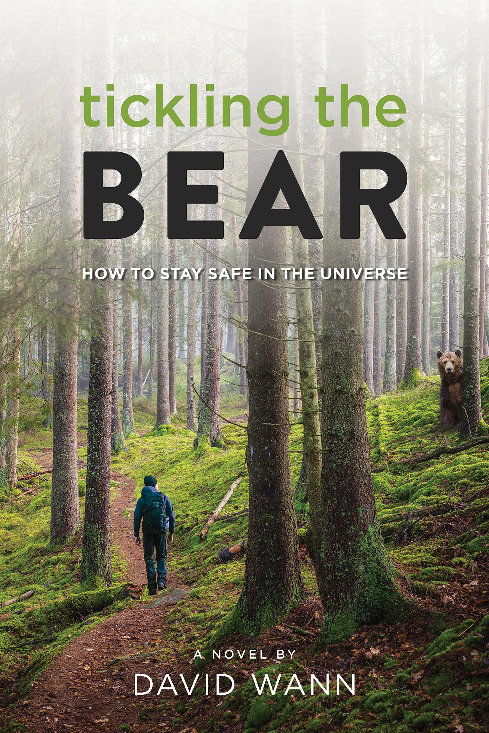 Tickling the Bear: How to Stay Safe in the Universe (Kindle Edition)