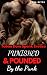Punished & Pounded by the Punk by Dana Blyss
