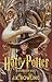 Harry Potter ja viisasten kivi