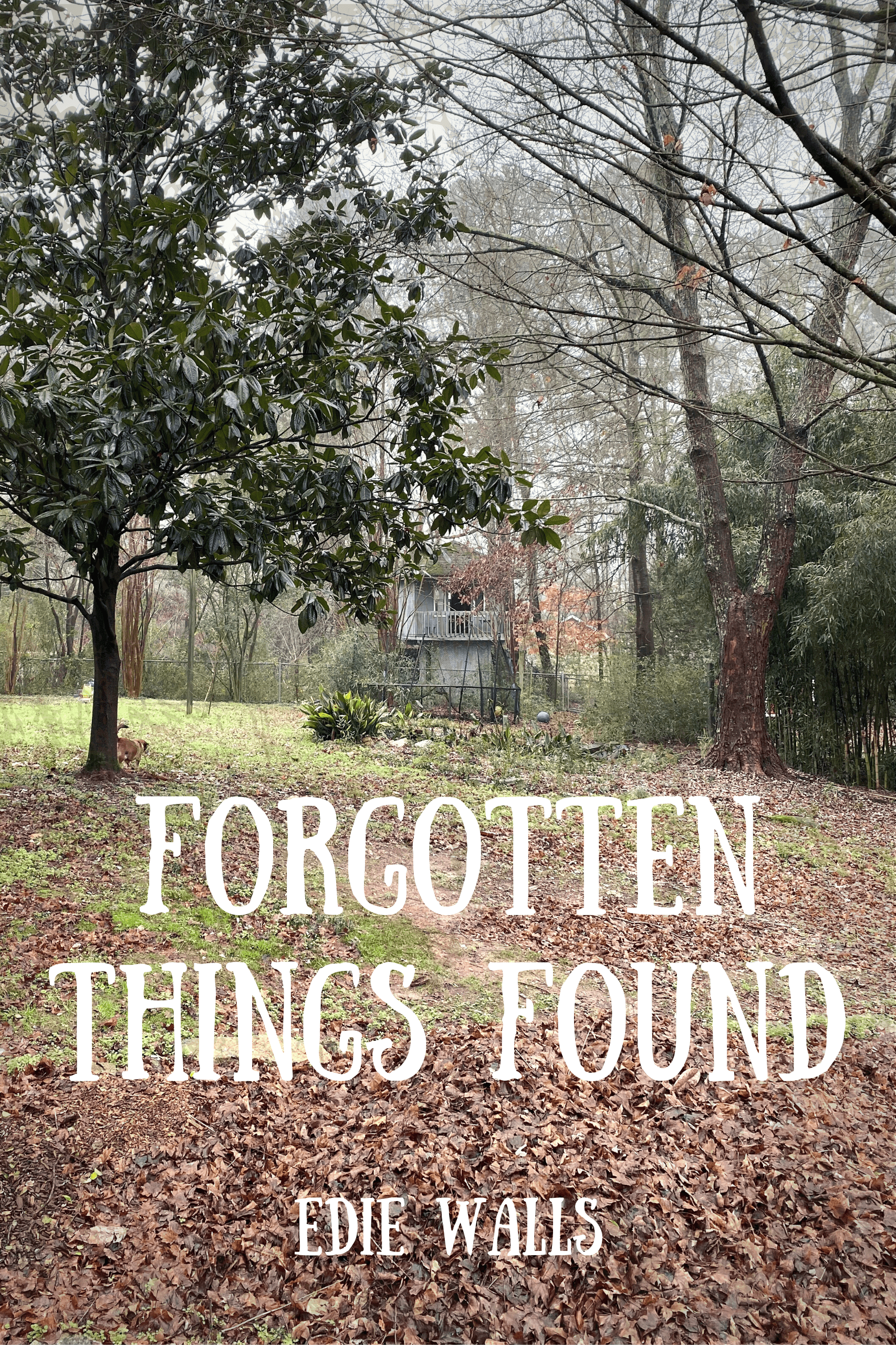 Forgotten Things Found (ebook)
