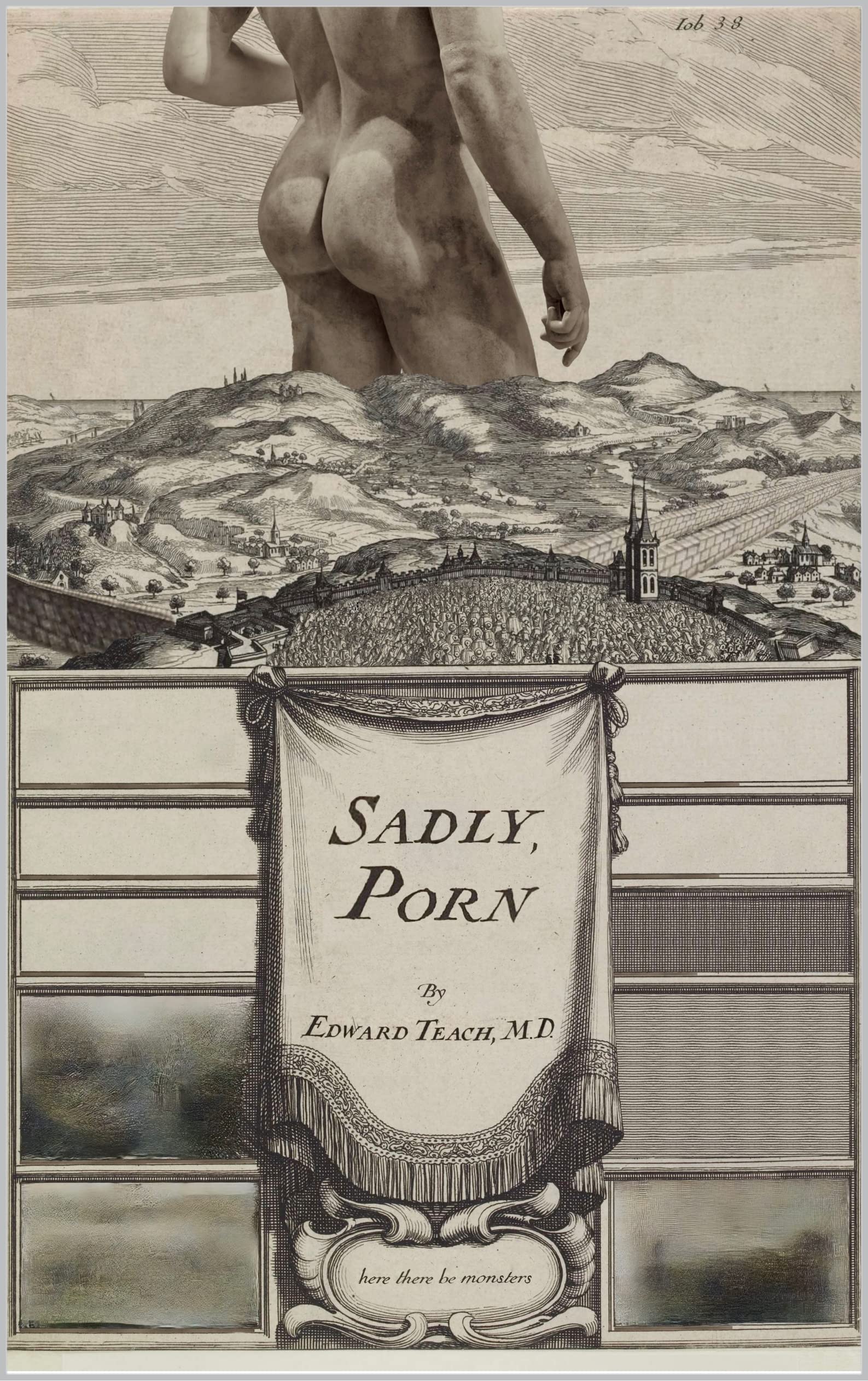Sadly, Porn (Kindle Edition)
