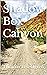 Shadow Box Canyon by Thomas Leo Ogren