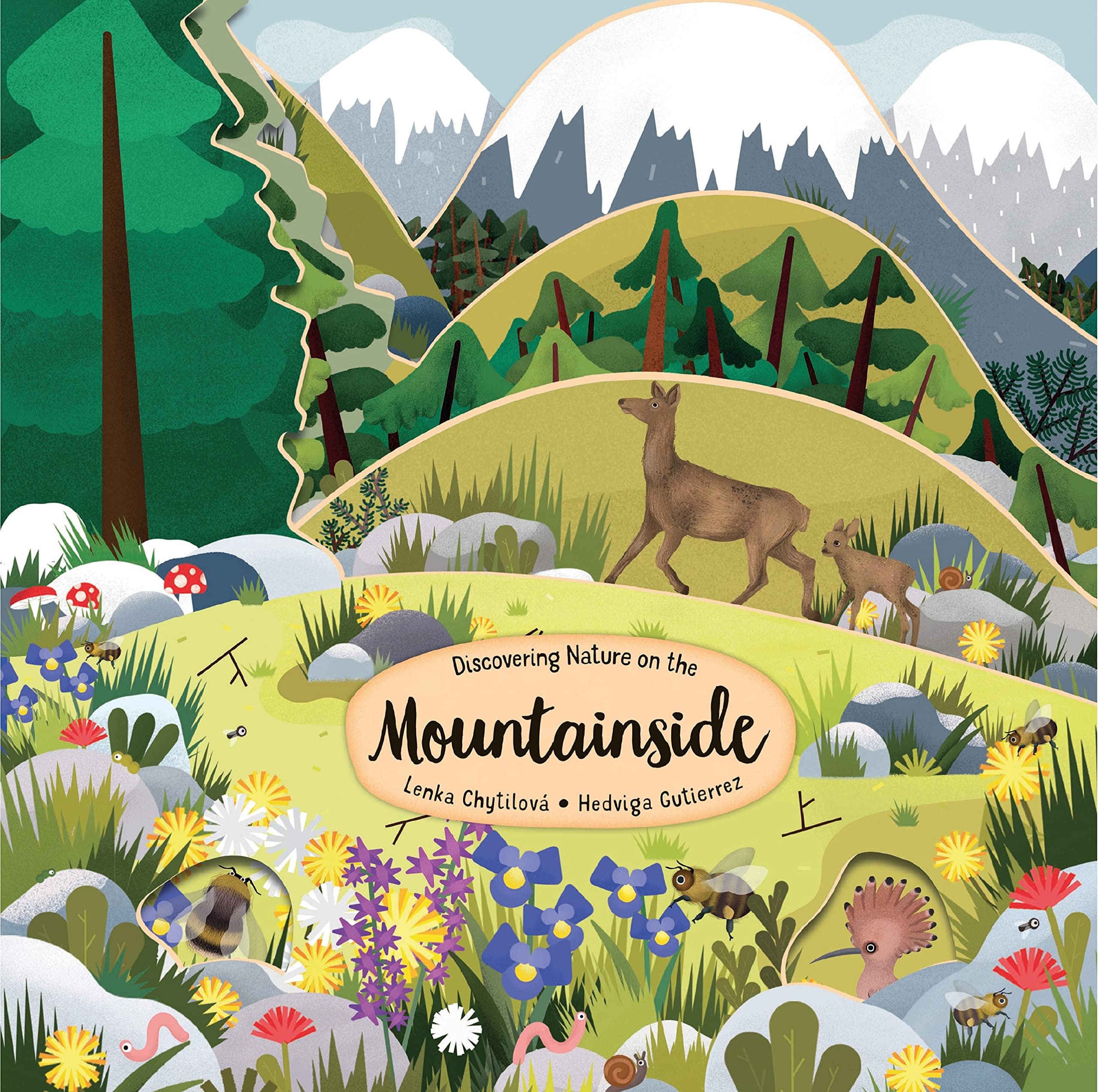 Discovering Nature on the Mountainside (Hardcover)