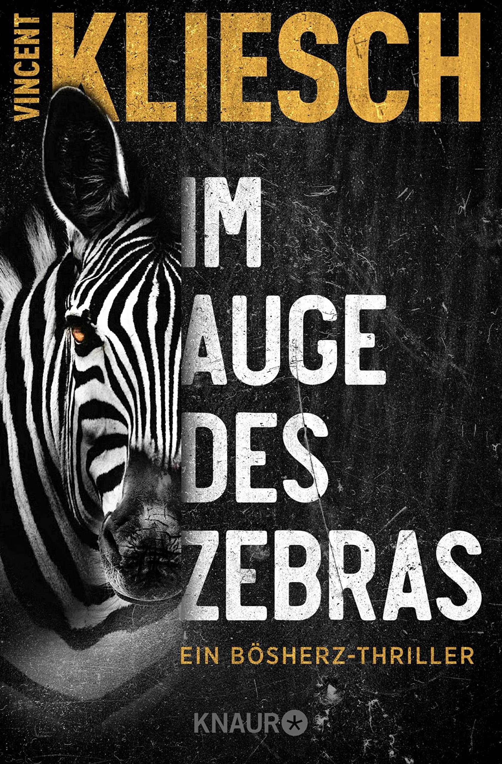 Im Auge des Zebras (Olivia Holzmann ermittelt #1)