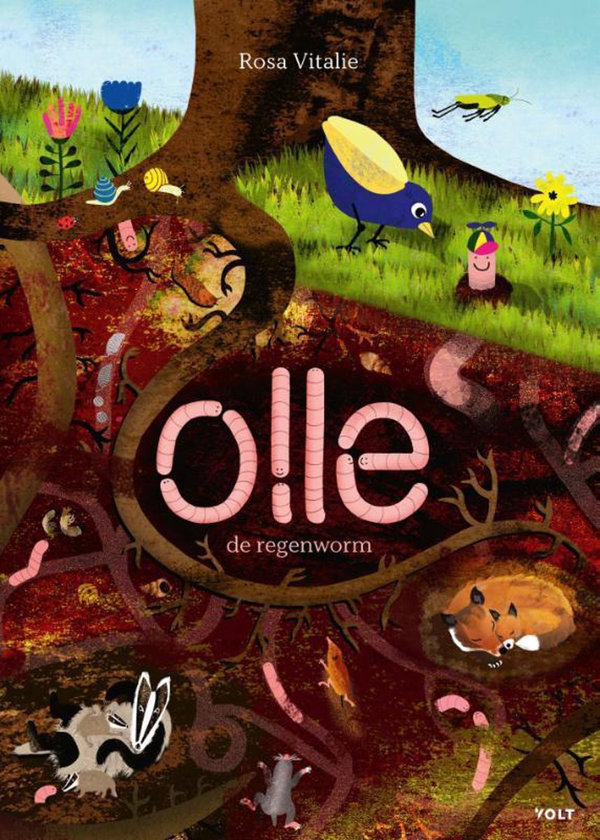 Olle de regenworm (Paperback)