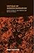 Critique of Modern Barbarism: Essays on Fascism, Anti-Semitism and the Use of History