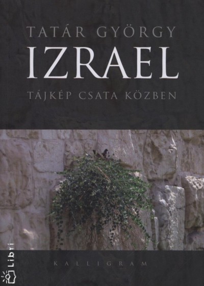 Izrael, tájkép csata közben